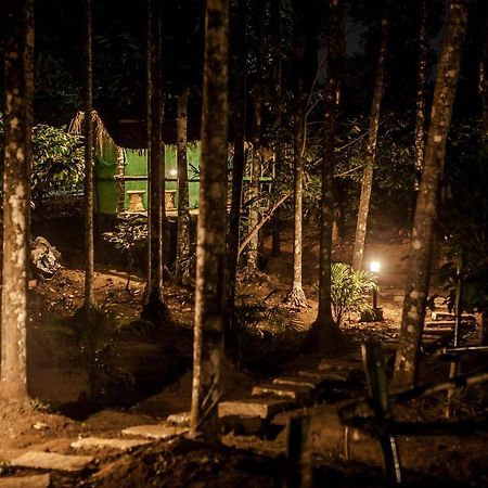 Wooden Cottages Glen Wayanad Meppādi Exterior foto