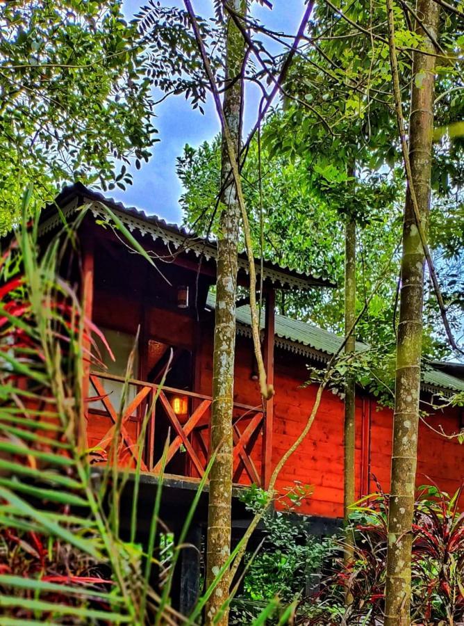 Wooden Cottages Glen Wayanad Meppādi Exterior foto