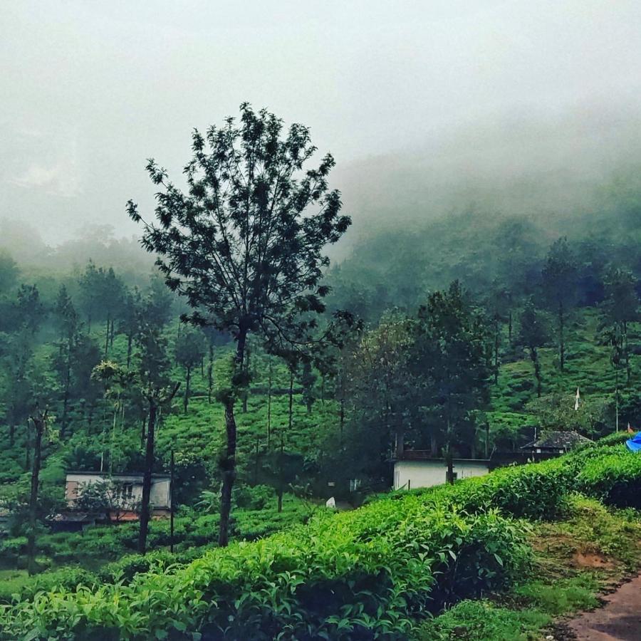 Wooden Cottages Glen Wayanad Meppādi Exterior foto