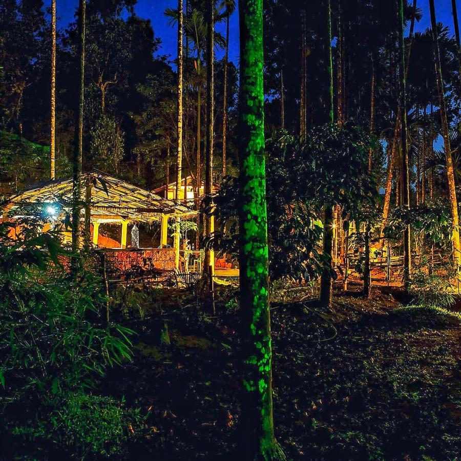 Wooden Cottages Glen Wayanad Meppādi Exterior foto