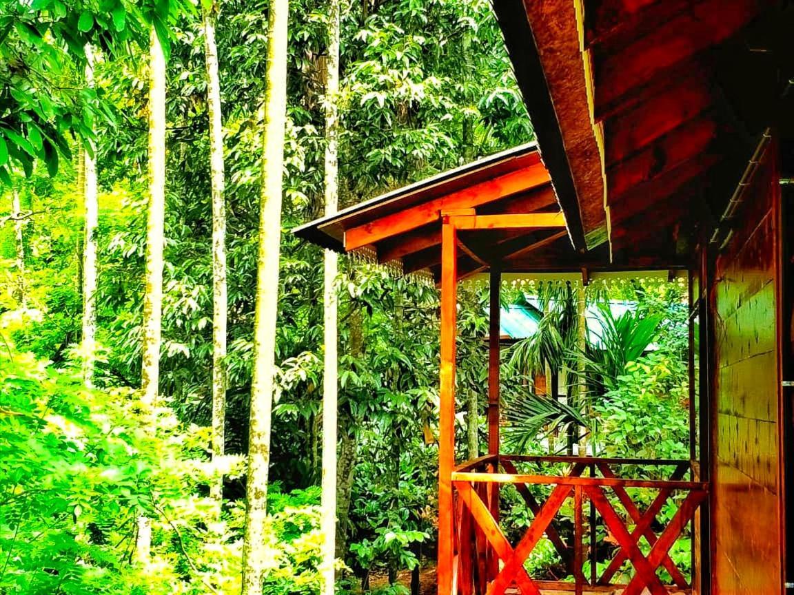 Wooden Cottages Glen Wayanad Meppādi Exterior foto