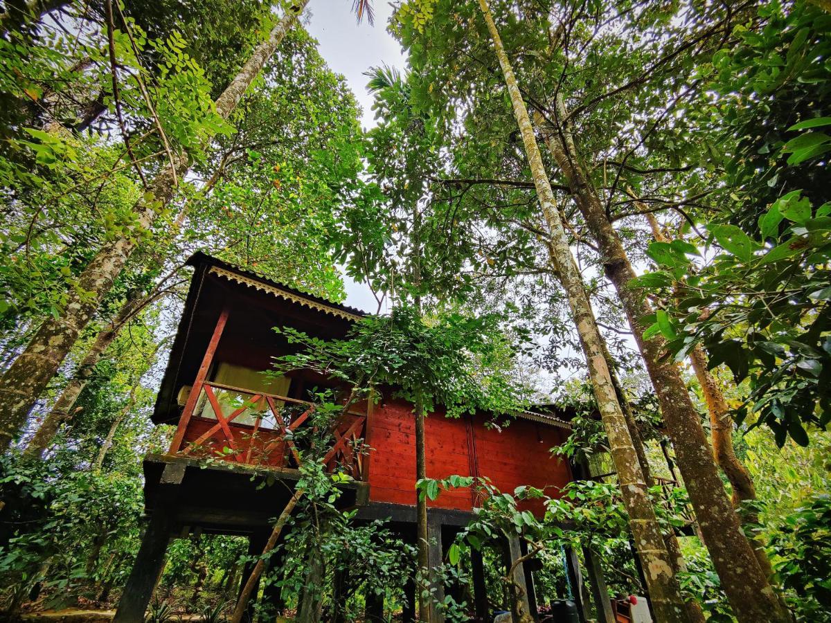 Wooden Cottages Glen Wayanad Meppādi Exterior foto
