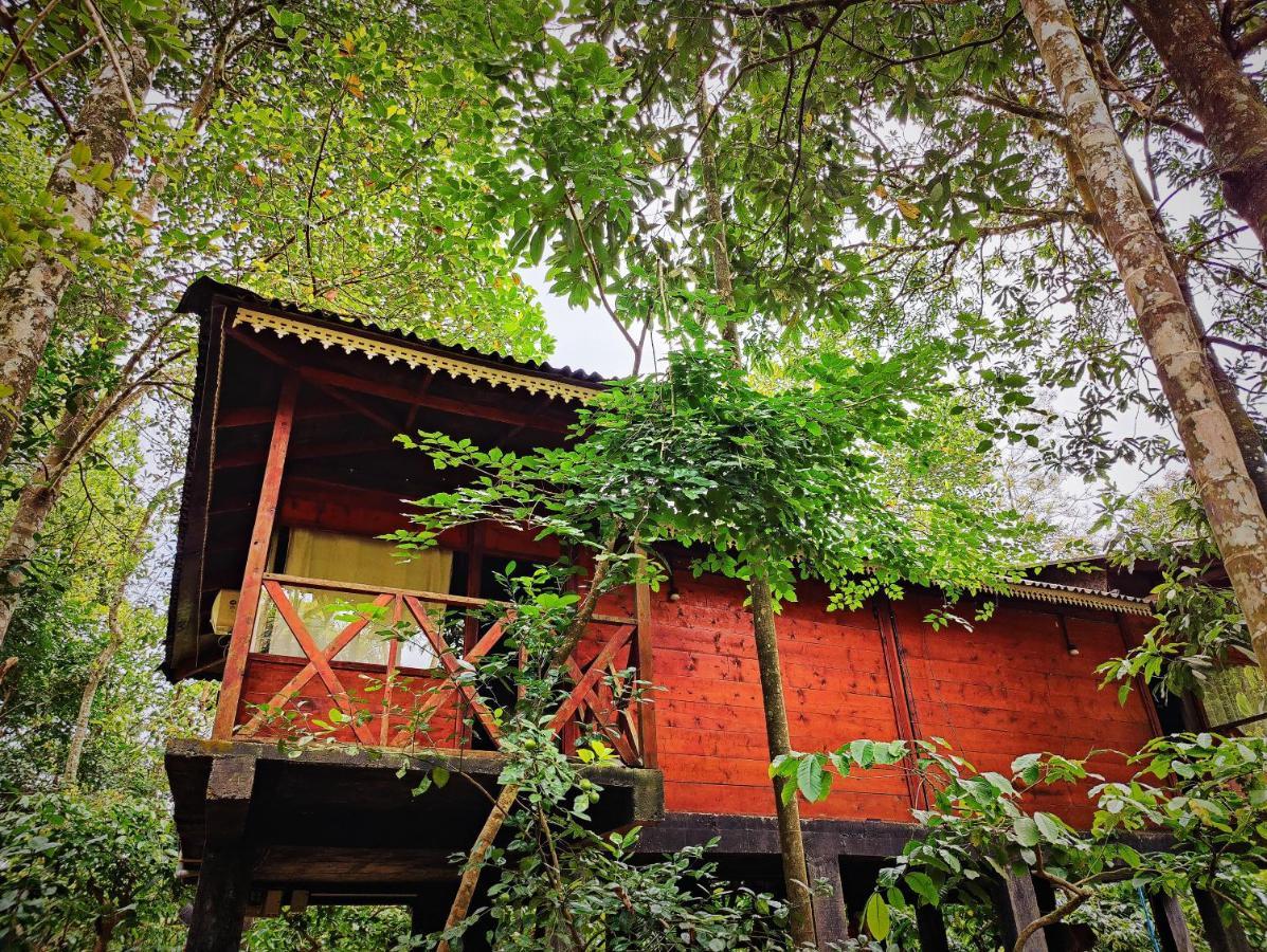 Wooden Cottages Glen Wayanad Meppādi Exterior foto