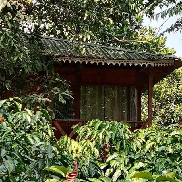 Wooden Cottages Glen Wayanad Meppādi Exterior foto
