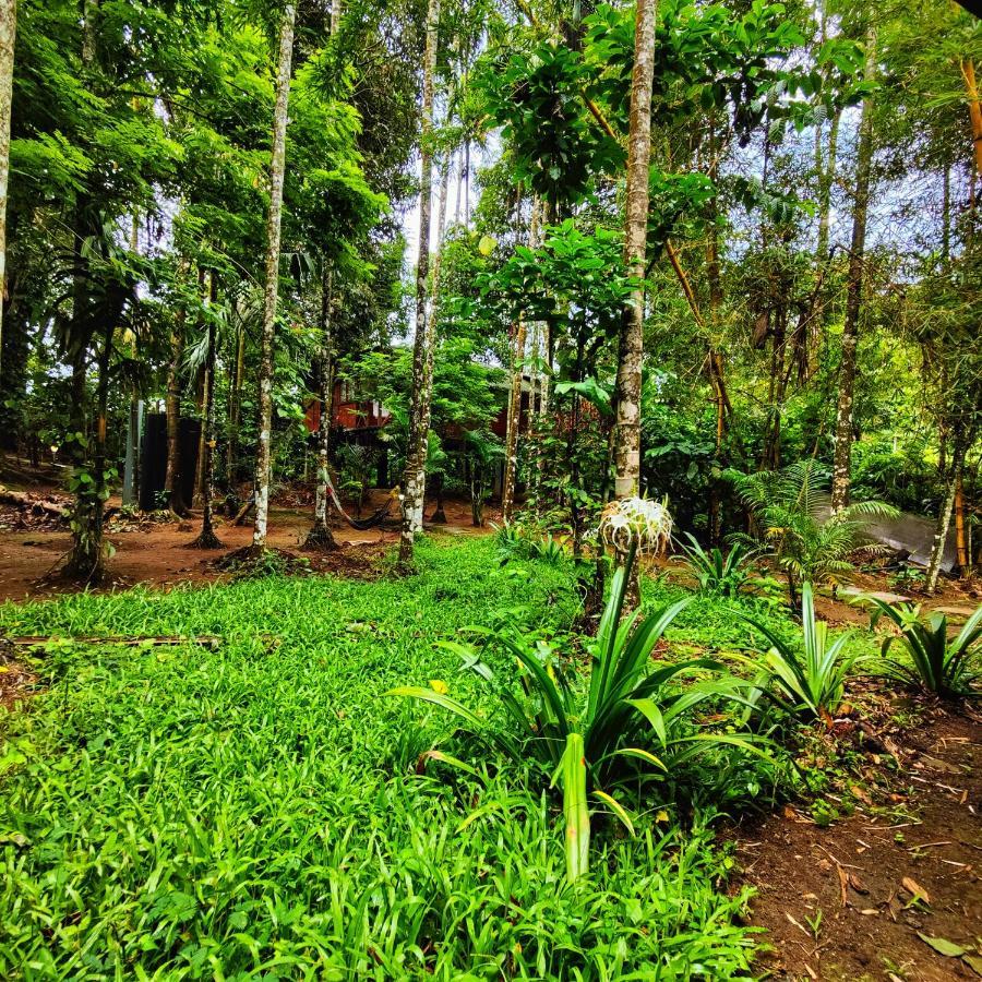 Wooden Cottages Glen Wayanad Meppādi Exterior foto