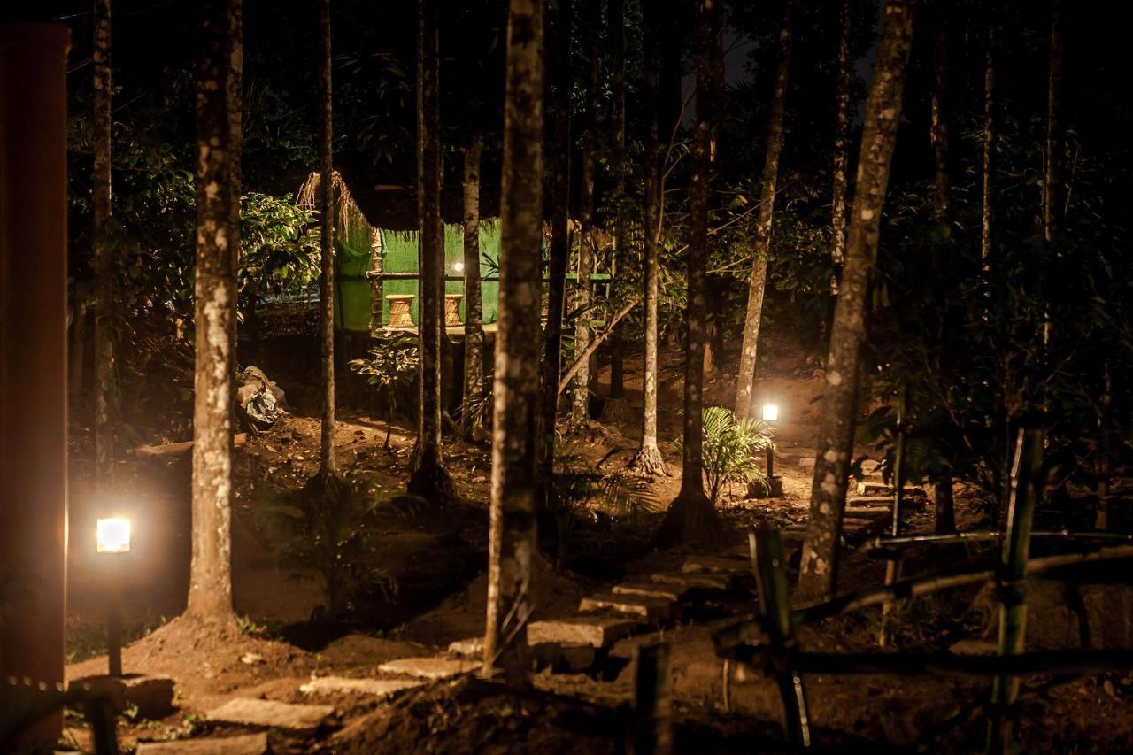 Wooden Cottages Glen Wayanad Meppādi Exterior foto
