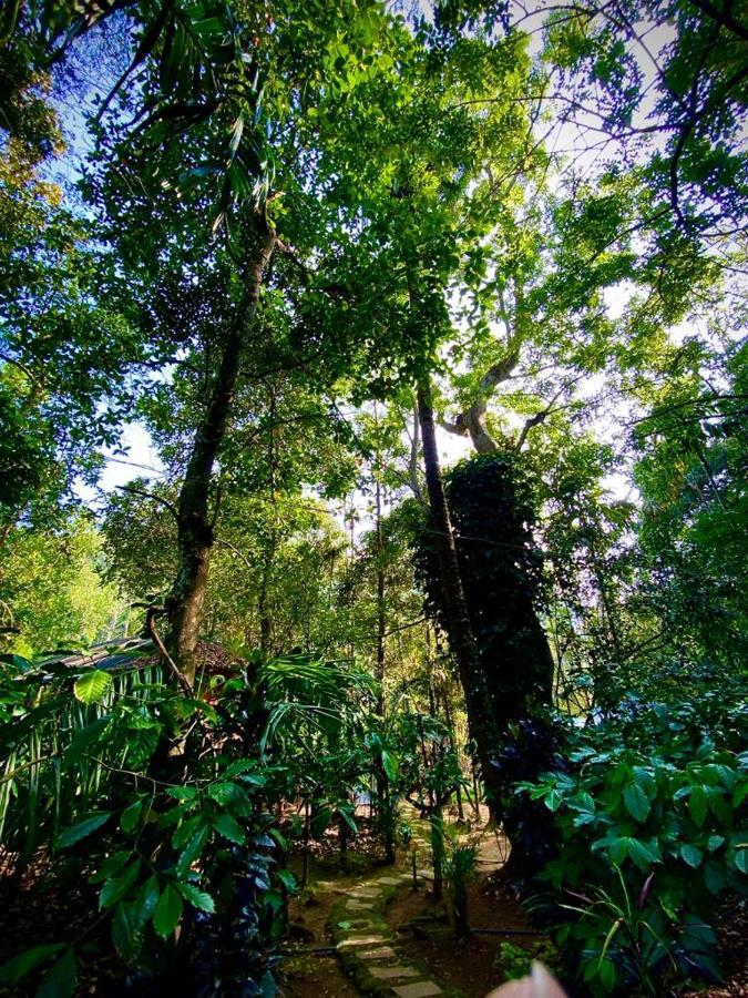Wooden Cottages Glen Wayanad Meppādi Exterior foto