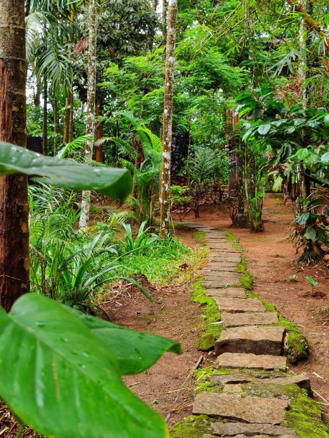 Wooden Cottages Glen Wayanad Meppādi Exterior foto